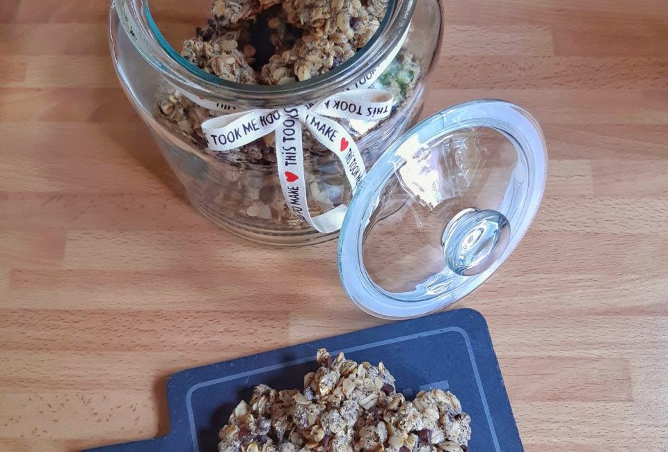 Biscotti all’avena con gocce di cioccolato fondente